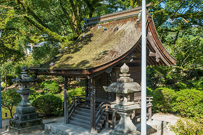 好消息！日本从3月1日起放宽外国人入境限制！