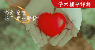 学术辅导项目