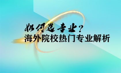 专业选择