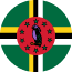 多米尼克